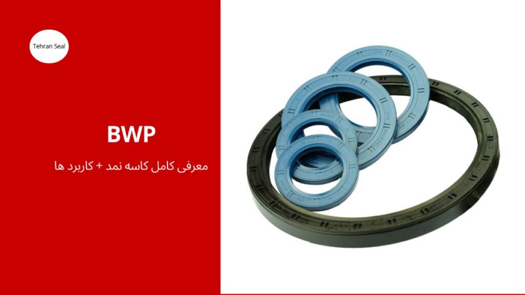 کاسه نمد BWP