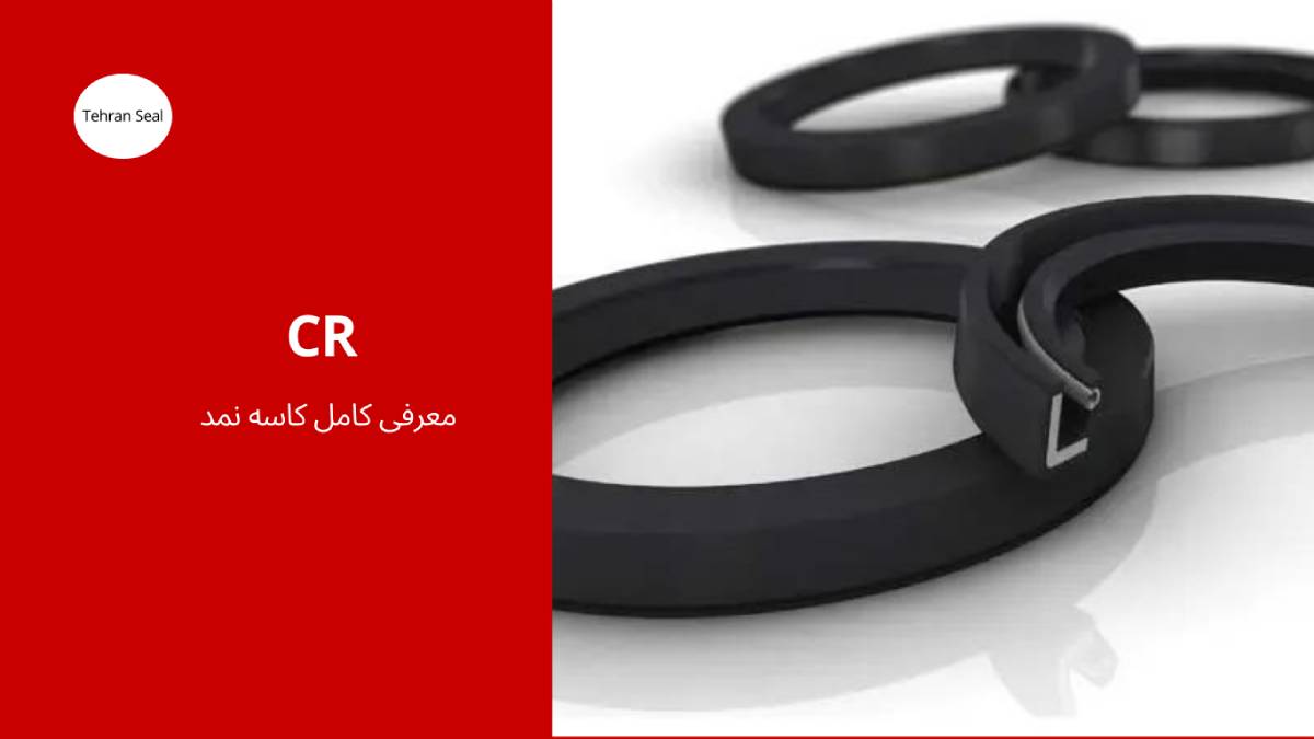 کاسه نمد CR سی آر