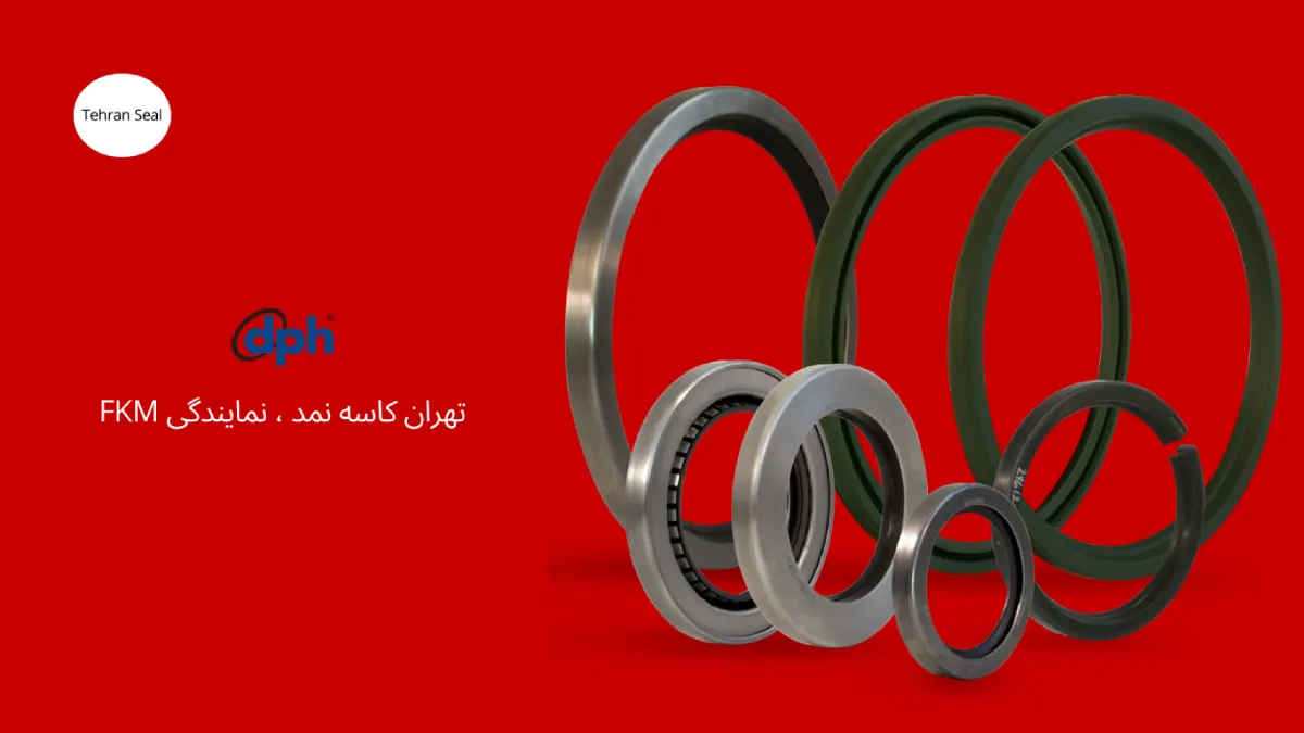 کاسه نمد DPH