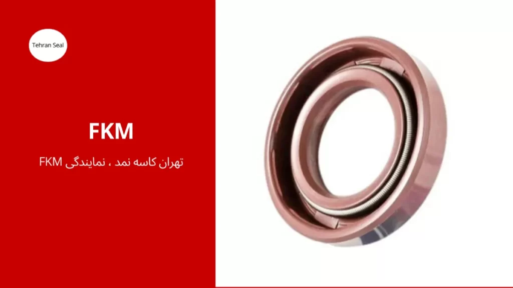کاسه نمد fkm