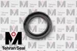 کاسه نمد skf 38*55*8