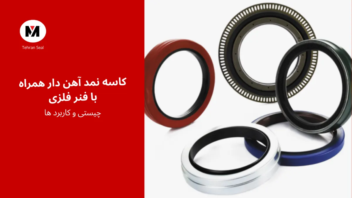 کاسه نمد آهن دار همراه فنر فلزی