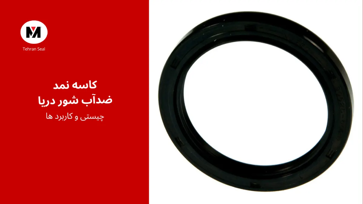 کاسه نمد ضد آب شور دریا