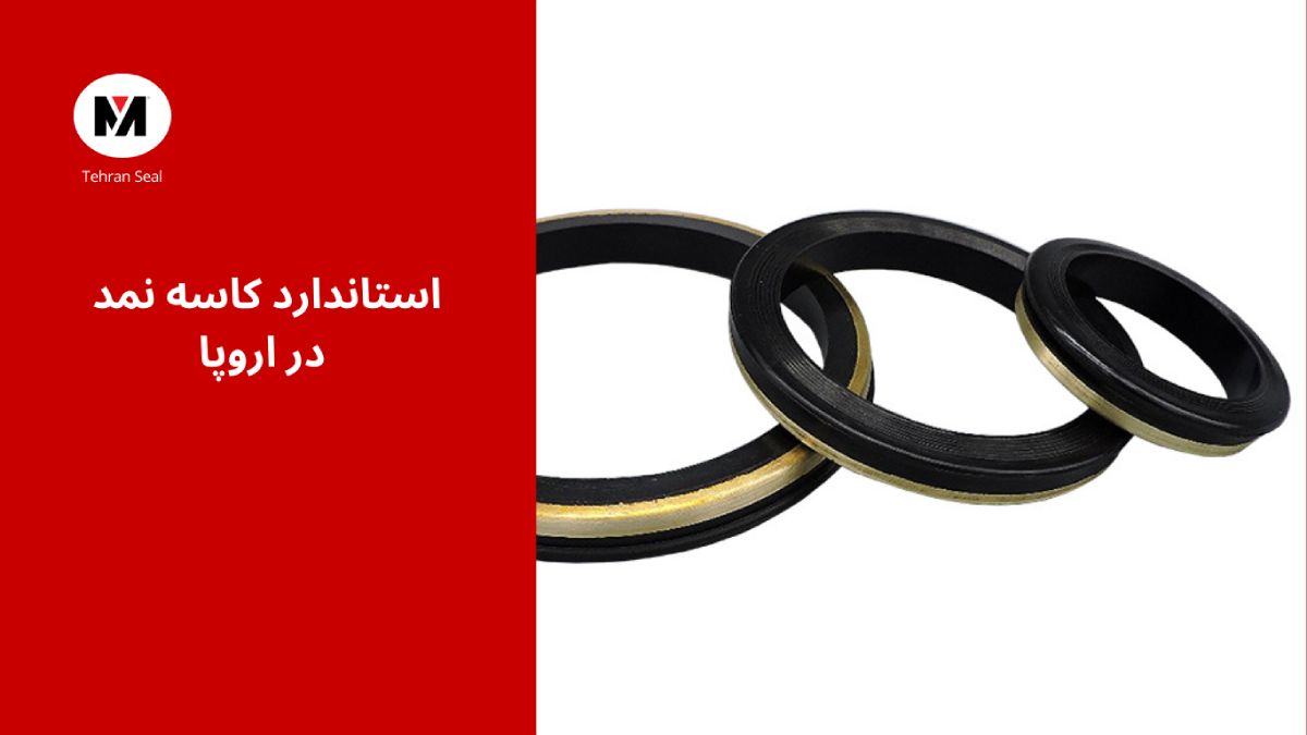 استاندارد کاسه نمد در اروپا