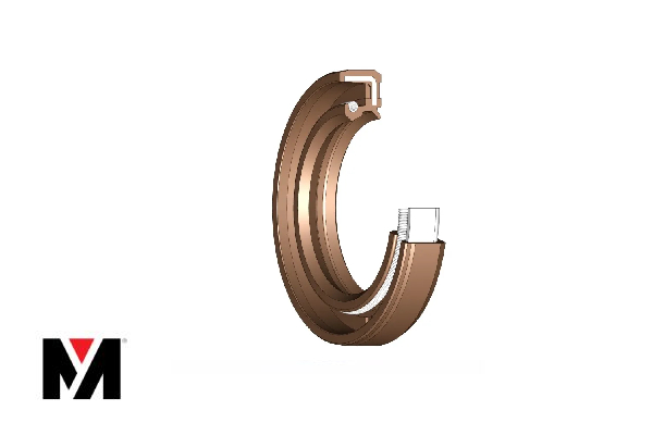 Oil Seal FKM 100X130X12 Type AS