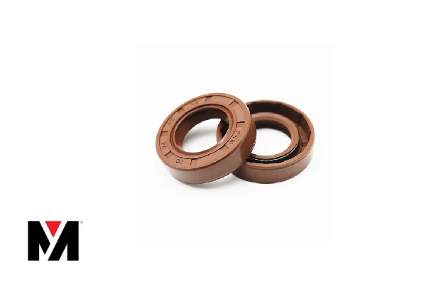 Oil Seal FKM 110X130X12 Type AS