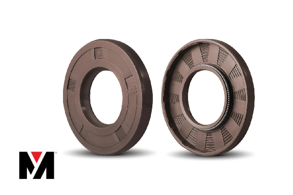 Oil Seal FKM 135X170X12 Type AS