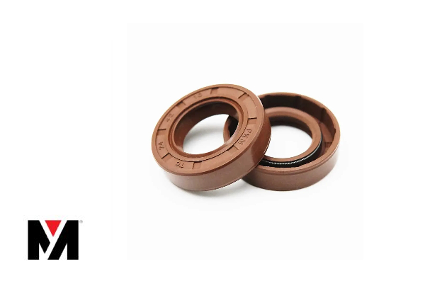 Oil Seal FKM 180X220X15 Type AS