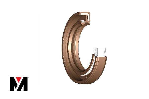 Oil Seal FKM 190X220X15 Type AS