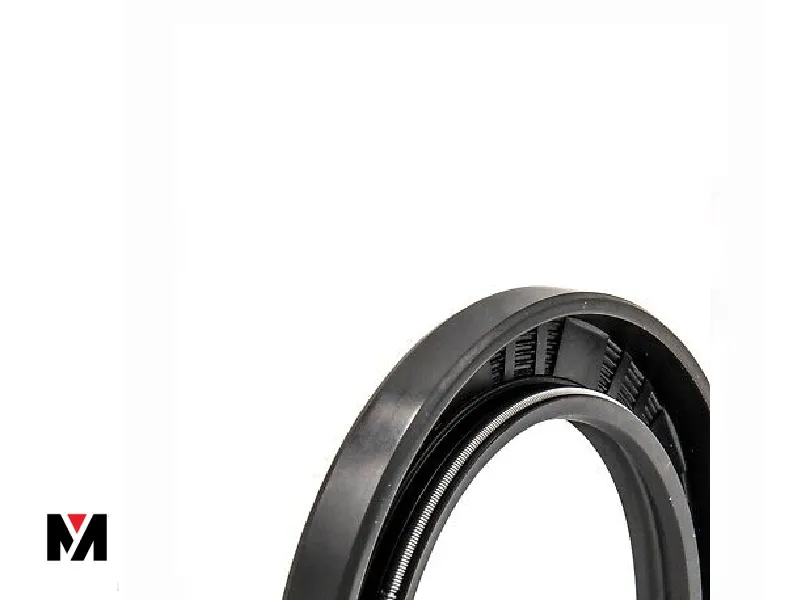 Oil Seal FKM 32X52X10 Type AS Oil Seal FKM 32X52X10 Type AS