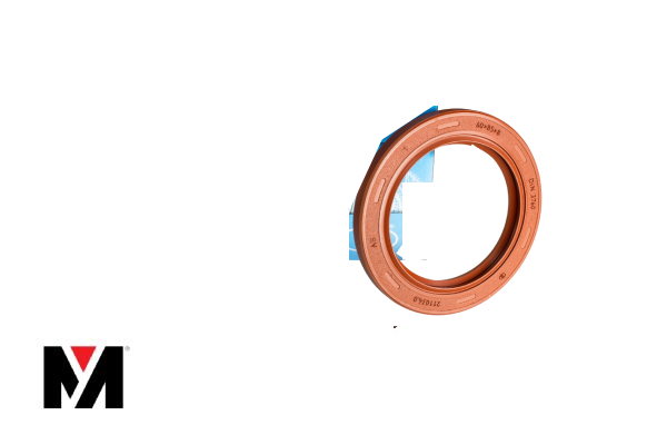 Oil Seal FKM 60X85X8 Type AS