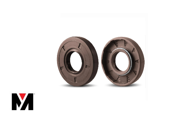 Oil Seal FKM 60X90X10 Type AS