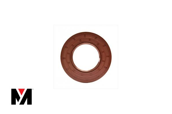 Oil Seal FKM 70X100X10 Type AS