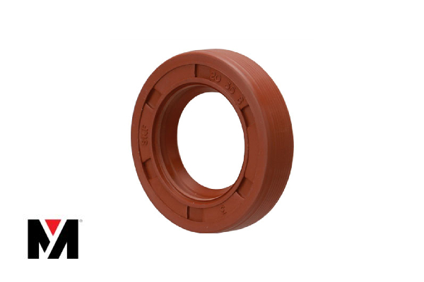 Oil Seal FKM 70X110X10 Type AS