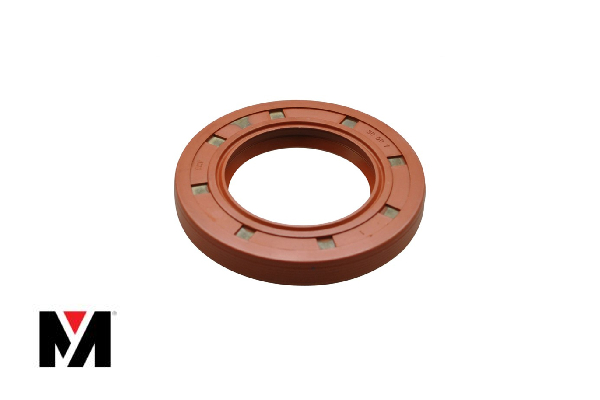 Oil Seal FKM 80X100X12 Type AS