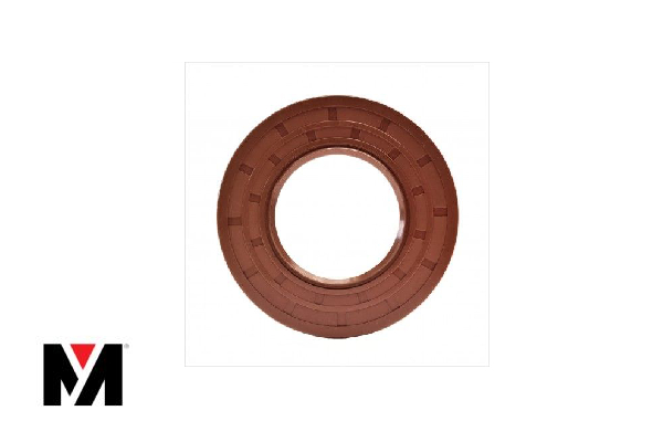 Oil Seal FKM 80X110X10 Type AS