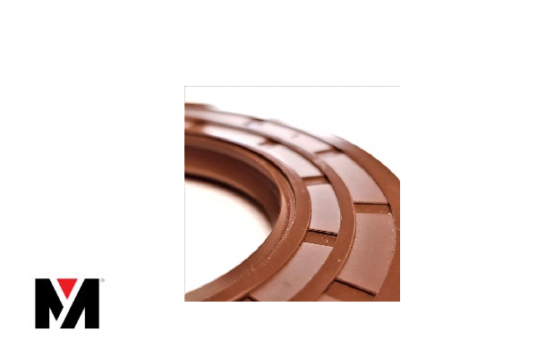 Oil Seal FKM 80X110X12 Type AS