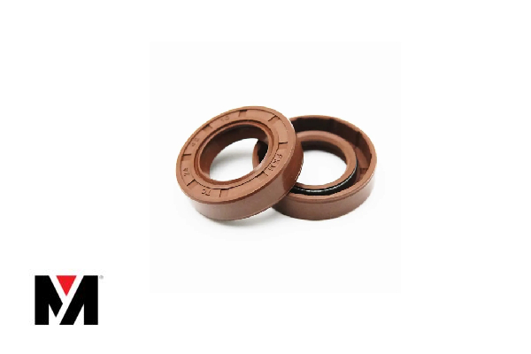 Oil Seal FKM 85X110X12 Type AS