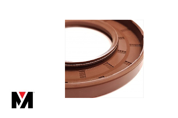 Oil Seal FKM 90X110X12 Type AS