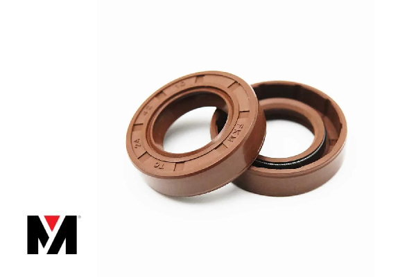 Oil Seal FKM WAS 220X250X15 Type AS