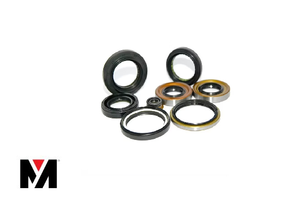 Oil Seal FKM WAS NIF 100X130X12 Type AS