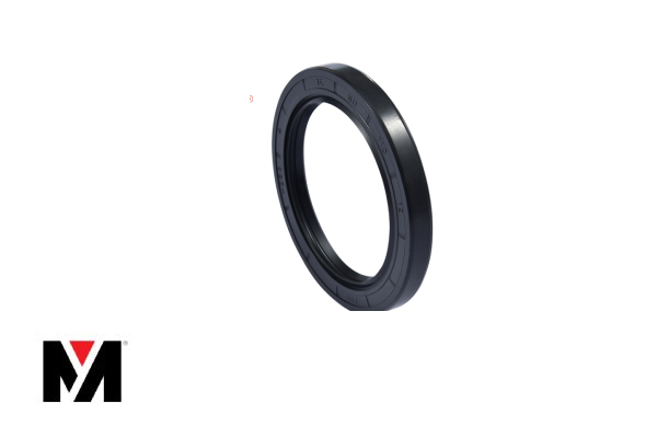 Oil Seal FKM WAS NIF 110X140X12 Type AS