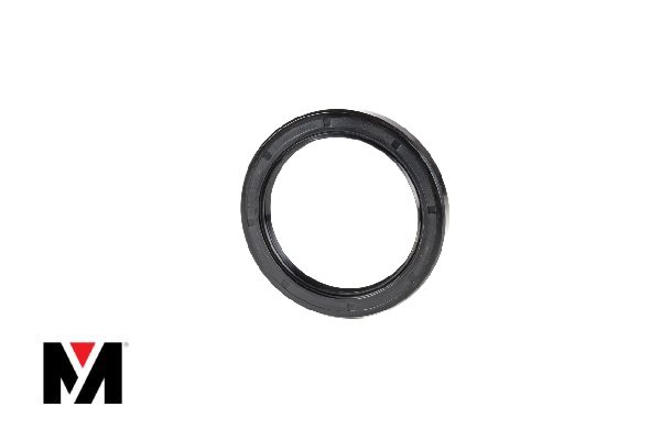 Oil Seal FKM WAS NIF 65X100X10 Type AS